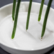 Illustration for article titled Three Clever Flower Vases To Hold You Out Until the Thaw